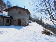 MONTE SUCHELLO (1541 m), fiorito in basso , innevato in alto, da Costa Serina il 19 marzo 2026  - FOTOGALLERY
